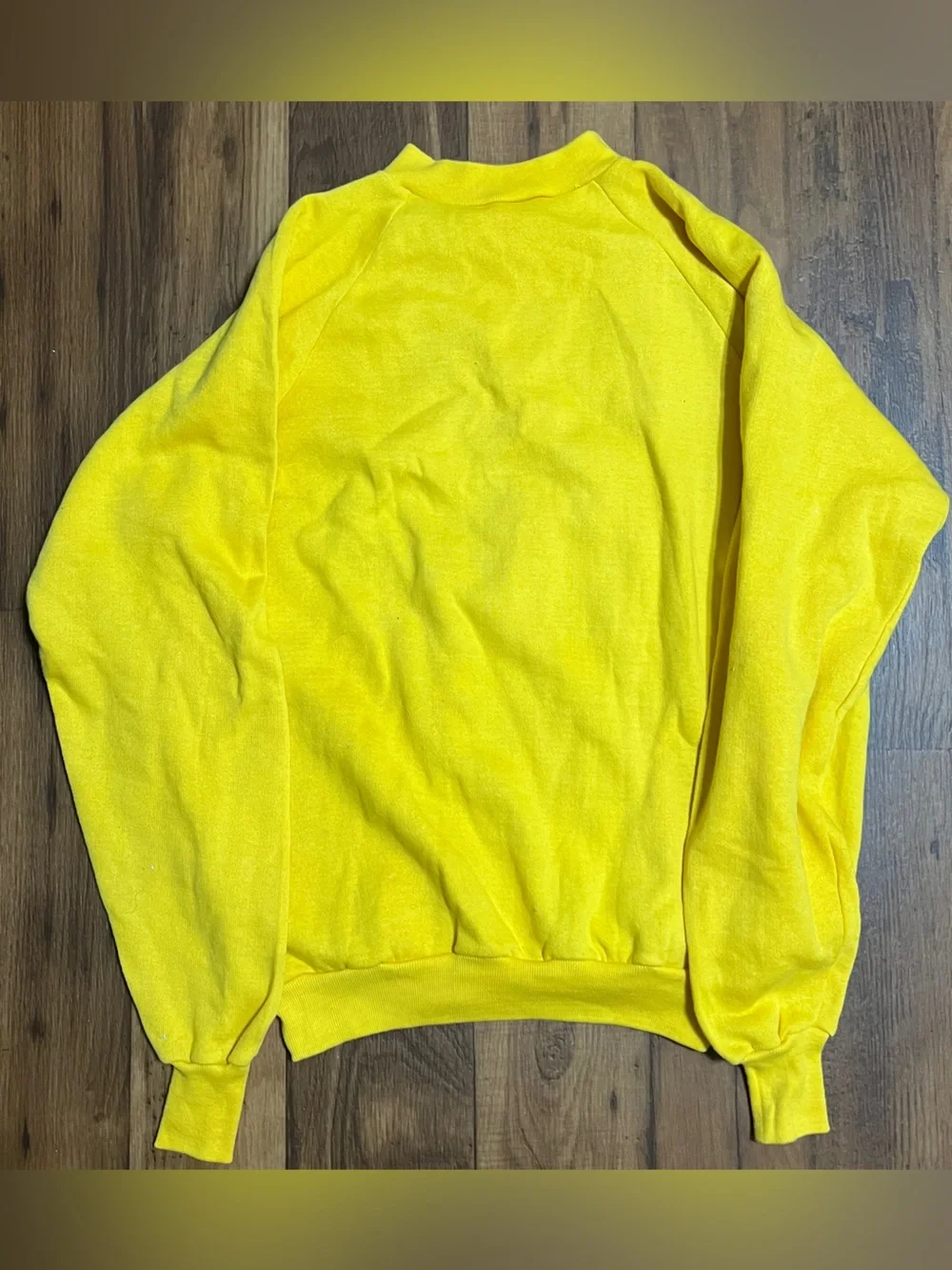 Vintage 1980s Healthknit Raglan Sweatshirt Adult Size XL UNCF College HBCU